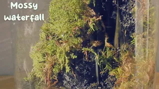 Creating a Stunning Mossy Waterfall Terrarium