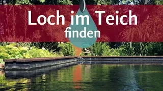 Undichter Teich? So findet man einfach das Loch in der Teichfolie