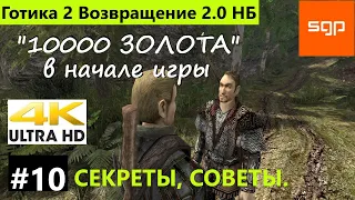 #10 "МНОГО ЗОЛОТА В НАЧАЛЕ ИГРЫ" Готика 2 Возвращение 2.0 Новый Баланс полное прохождение 2022