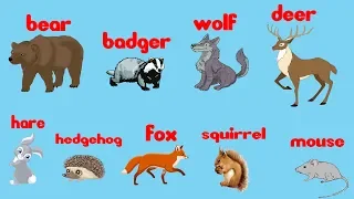 Английский для детей ЛЕГКО И ПРОСТО | Учим животных на английском языке |  Дикие животные для детей