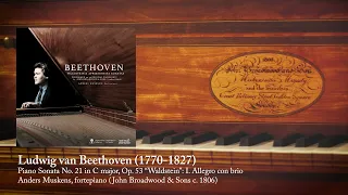 Simmering Beethoven - Waldstein on fortepiano