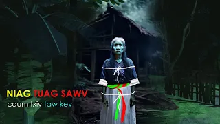 dab neeg Niag Tuag sawv Caum txiv Taw kev (28, April, 2024)