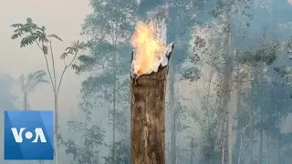 Amazon Fires: Dramatic Drone Footage Shows Fire Gathering Strength