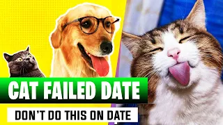 The top funniest cat videos of 2021 🐶😺🐟🐴🐐🙉🦃  | Please Don't laugh on these cat videos