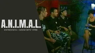 A.N.I.M.A.L. - Entrevista + show en vivo (Hora Prima, MTV 1998)