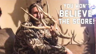 You Won’t Believe What That Antler Scores!  Arizona Archery Mule Deer Hunt Vlog #2