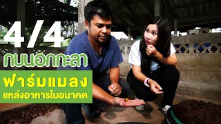 กบนอกกะลา : ฟาร์มแมลง แหล่งอาหารในอนาคฅ ช่วงที่ 4/4 (1 ก.พ.61)