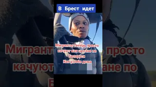 Беженцы двинули на Брест !