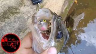 SAUGER From YOUGHIOGHENY RIVER!! | ALMOST STRUCK BY LIGHTNING!!!* (ep.11)