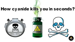 How cyanide kills you in seconds?|cyanide poisoning