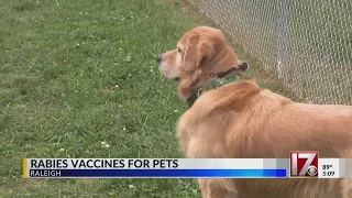 Raleigh event this weekend encourages rabies vaccines