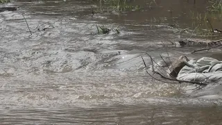 В районе Телецентра поднимается вода, заливая дачи. Уральск. 2024г.