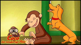 Coco der Neugierige Affe | Spiele lernen | Cartoons für Kinder