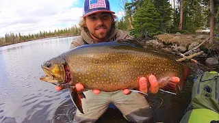 One Of My BIGGEST BROOK TROUT Ever!!! + Catch & Cook!!