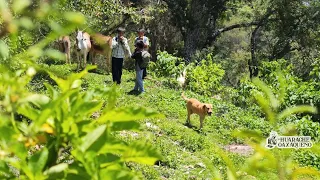 "Nosotros no sabemos lo que es un juguete"|Yonathan.