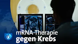 Entwicklung von mRNA-Therapie gegen Krebs