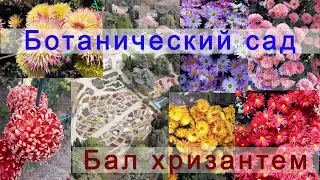 Никитский Ботанический сад. Бал хризантем 2019. Ялта.