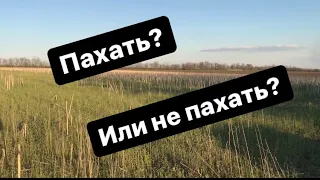 Пахать или не пахать? Вот в чем вопрос