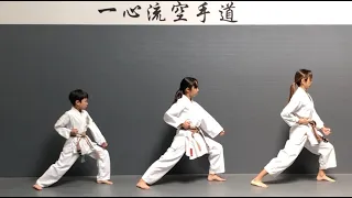 Taikyoku Shodan Kata