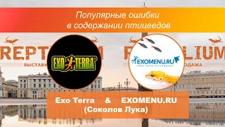 Exo Terra&Exomenu: популярные ошибки в содержании птицеедов