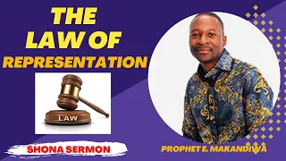THE LAW OF REPRESENTATION:  Prophet Emmanuel Makandiwa || Shona Sermon @thesermonhub