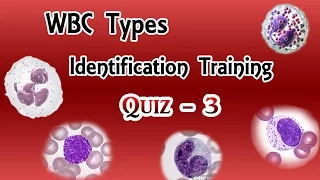 WBC Identification Training Quiz ( Part 3/3 )