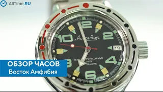 Обзор часов Восток Амфибия. Российские механические наручные часы. AllTime