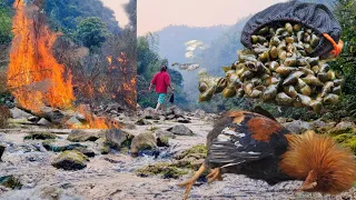 The river is full of snails|The fire got out of control|Why do chickens die?