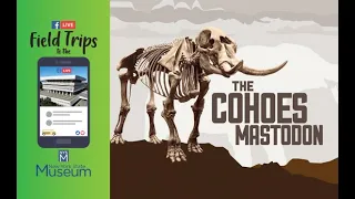 Field Trip to the NYSM: A Closer Look at the Cohoes Mastodon