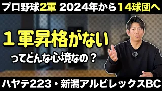 プロ野球の2軍が14球団に！１軍昇格はないけどメリットしかない！？