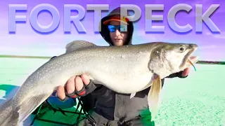 Chasing HUGE Fort Peck LAKE TROUT - Montana ICE TOUR 3.0 //Episode #4