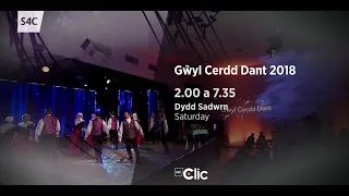 Promo S4C | Gŵyl Cerdd Dant 2018