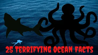 25 Scary Facts About The Ocean That You Need To Know Before Swimming