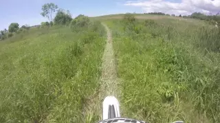 Trying to catch  a beta  rr  250