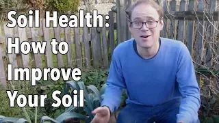 Soil Health: How to Improve Your Soil
