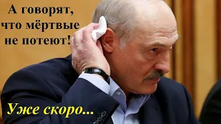 Что будет, если самолёт Лукашенко завтра упадёт?