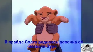 История Зури