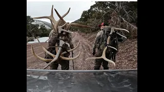 Shed Hunt with Brian, March