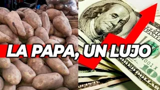 LA PAPA ES UN LUJO EN ARGENTINA: Por la devaluación, el precio se fue por las nubes