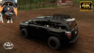 Toyota 4Runner - Realistic Offroading | Forza Horizon 5 | Logitech G29 Gameplay