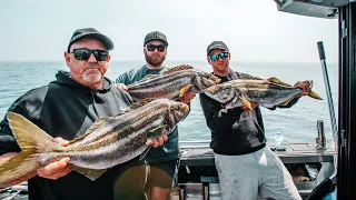 Cray and trumpeter fishing in northeast Tasmania