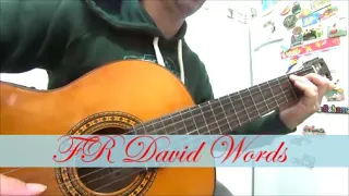 F. R.  David Words  Don't Come Easy fingerstyle