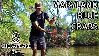 Crabbing in Maryland! TONS of Crabs! Crab Catch, Clean, Cook APS Episode 45