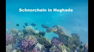 Schnorcheln in Hurghada - Makadi Bay, Fort Arabesque 2023