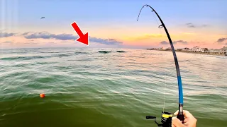 Fishing the GALVESTON SURF for SPECKLED TROUT!