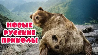 CRAZY RUSSIA!!! ЭТО РОССИЯ ДЕТКА!!! РУССКИЕ ПРИКОЛЫ #7