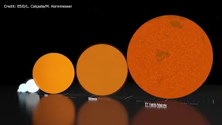 Size Comparison of Largest Known Stars in The Milky Way Galaxy