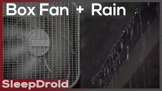 ► Box Fan and Rain Sounds for Sleeping with NO THUNDER, 10 hours of Fan White Noise and Rain in 4k