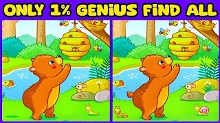 Find the difference | spot the difference | find the animal | bear, honey, picture quiz game #135