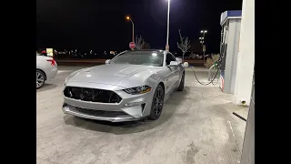 2020 MUSTANG GT DYNO E85 PALM BEACH DYNO TUNE